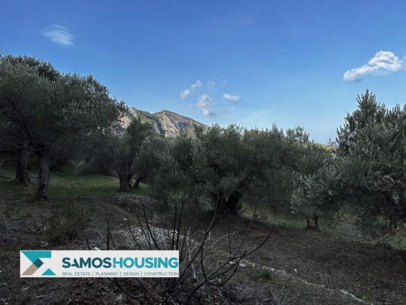 Ακίνητο Κοκκάρι Θέα Θάλασσα · Εικ. 11