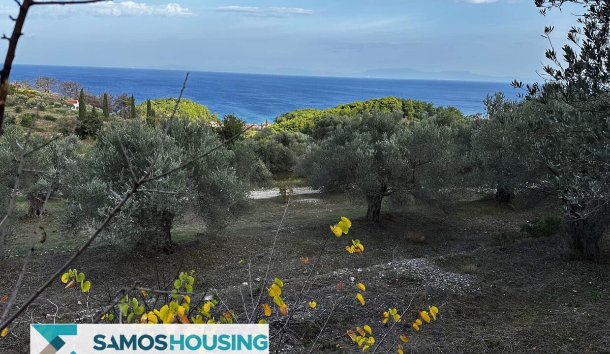 SH460 Sea View Kokkari00022