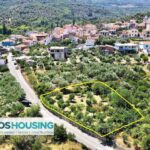 SH491 Amazing Buildable Plot