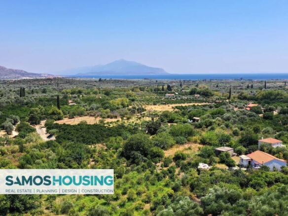 Πεδιάδα με ελιές και θάλασσα στο βάθος, κοντά σε οικόπεδο στους Μύλους Σάμου