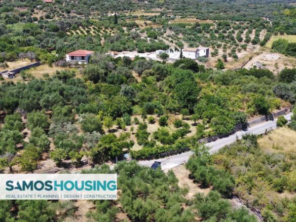 Ελαιώνες και αγροτικός δρόμος γύρω από οικόπεδο στους Μύλους Σάμου