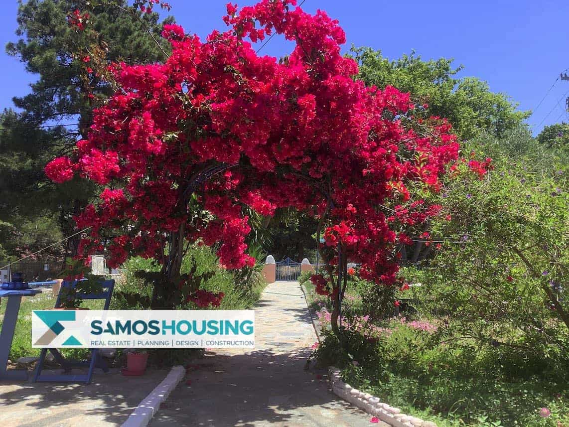 SH496 Alluring Sea View Villa00032