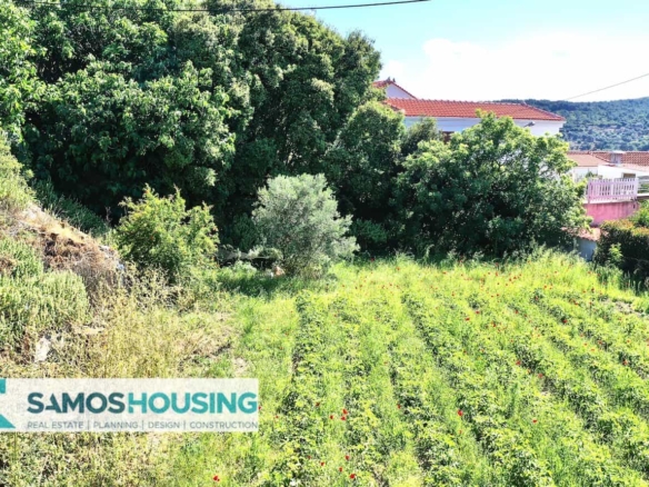 SH514 Village Plot For Sale