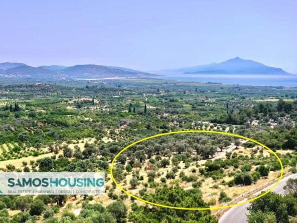 SH517 Sea View Plots