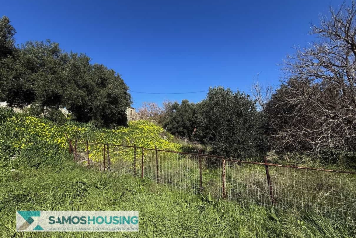 SH538 Seaview Plot Chora