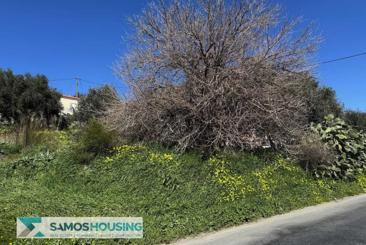 SH538 Seaview Plot Chora