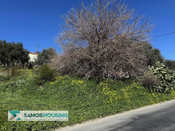 SH538 Seaview Plot Chora