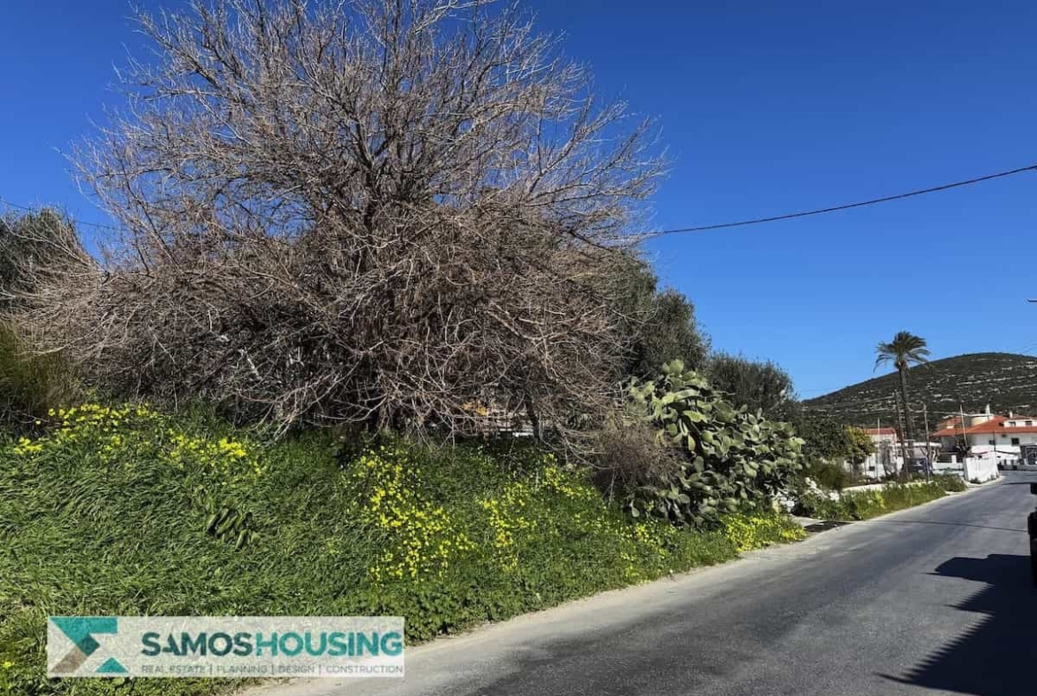 SH538 Seaview Plot Chora