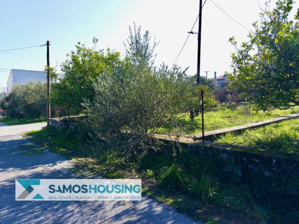 SH536 Prime Beachside Plot