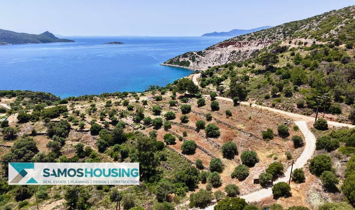 SH546 Vista Blue Metziki