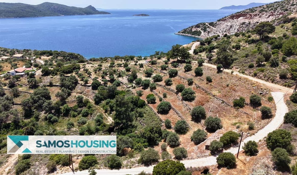 SH546 Vista Blue Metziki