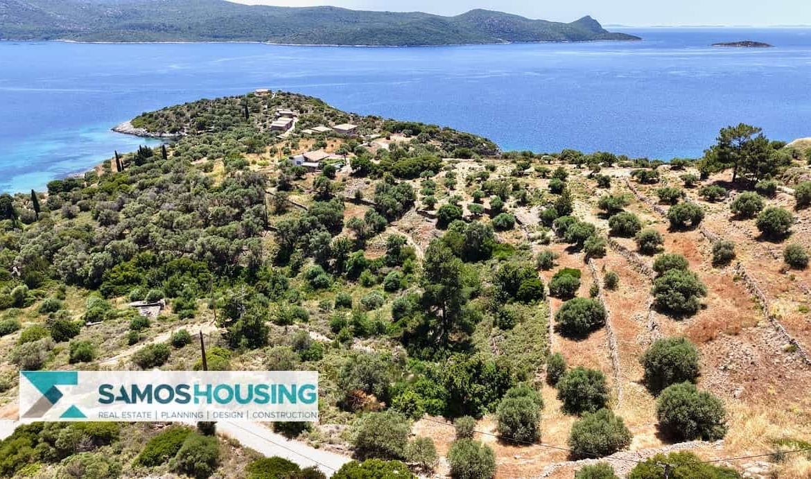 SH546 Vista Blue Metziki