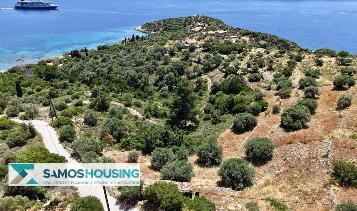 SH546 Vista Blue Metziki