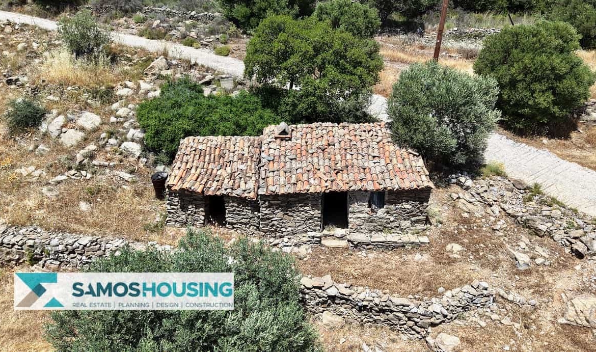 SH546 Vista Blue Metziki