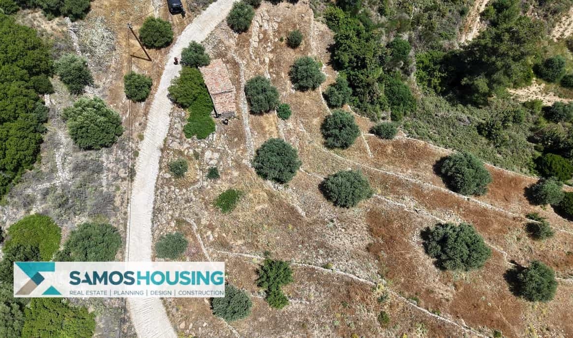 SH546 Vista Blue Metziki