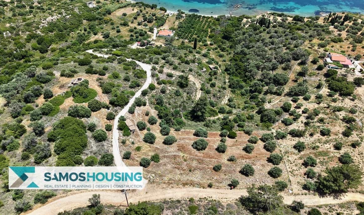 SH546 Vista Blue Metziki