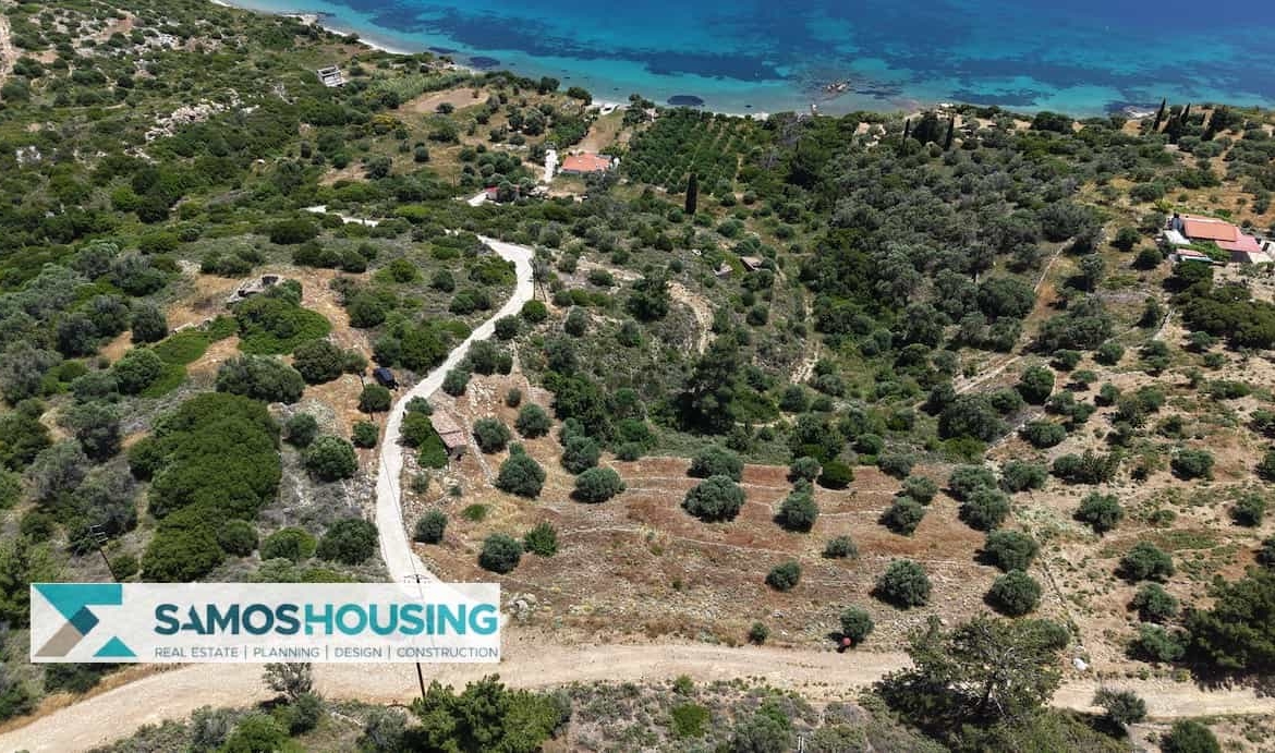 SH546 Vista Blue Metziki