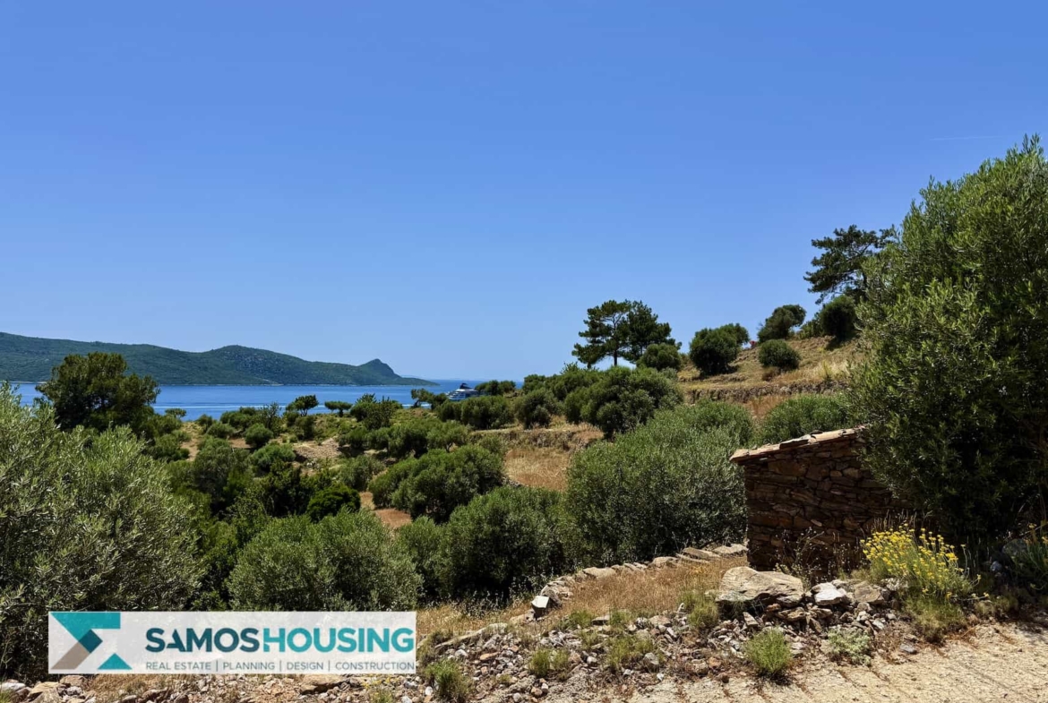 SH546 Vista Blue Metziki