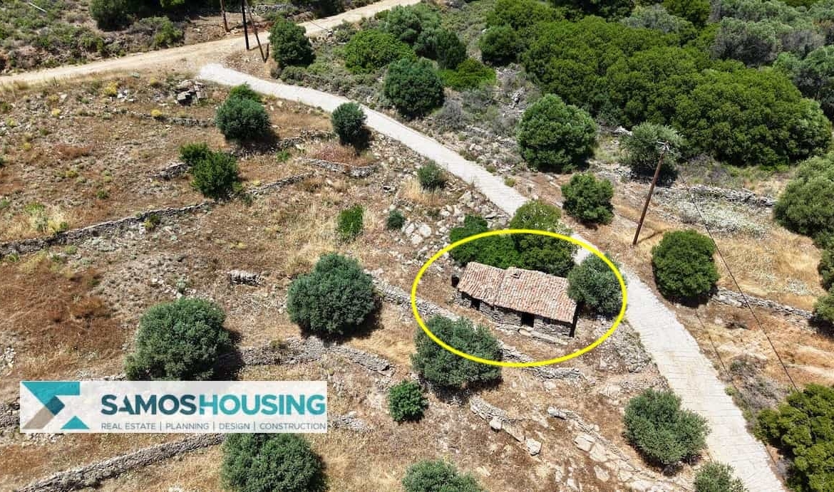 SH546 Vista Blue Metziki