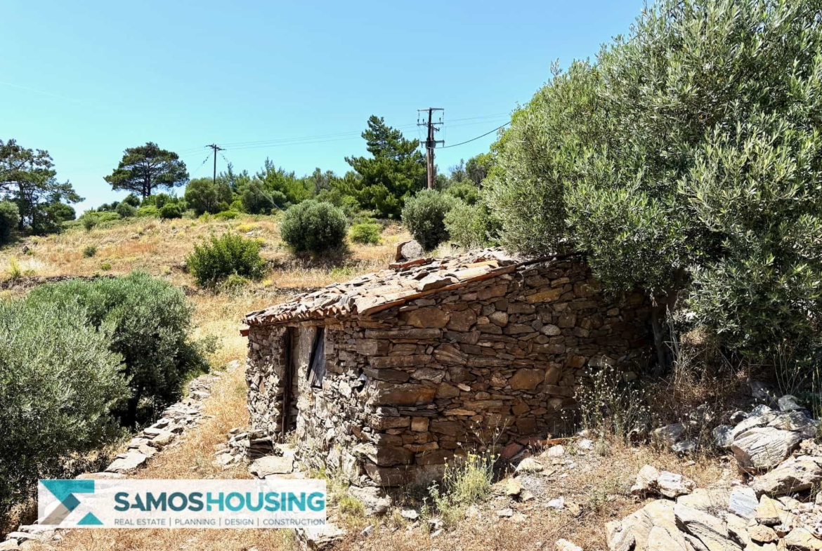 SH546 Vista Blue Metziki