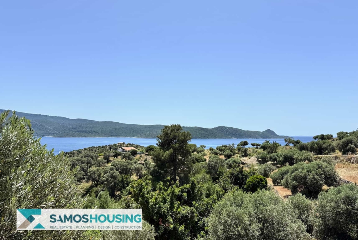 SH546 Vista Blue Metziki