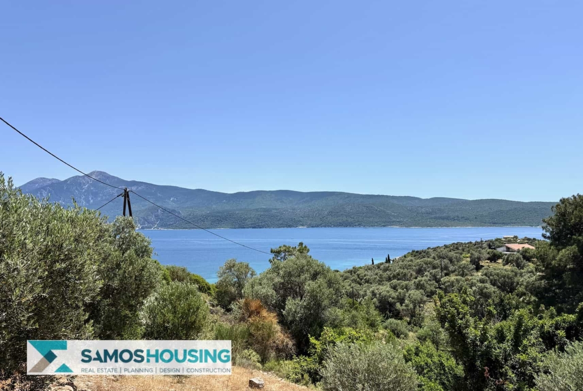 SH546 Vista Blue Metziki