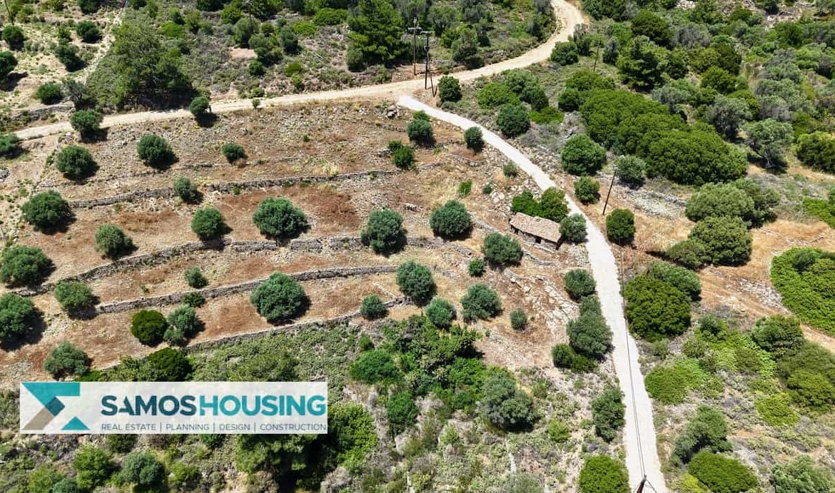 SH546 Vista Blue Metziki