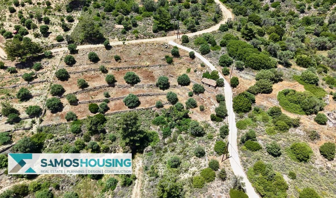 SH546 Vista Blue Metziki