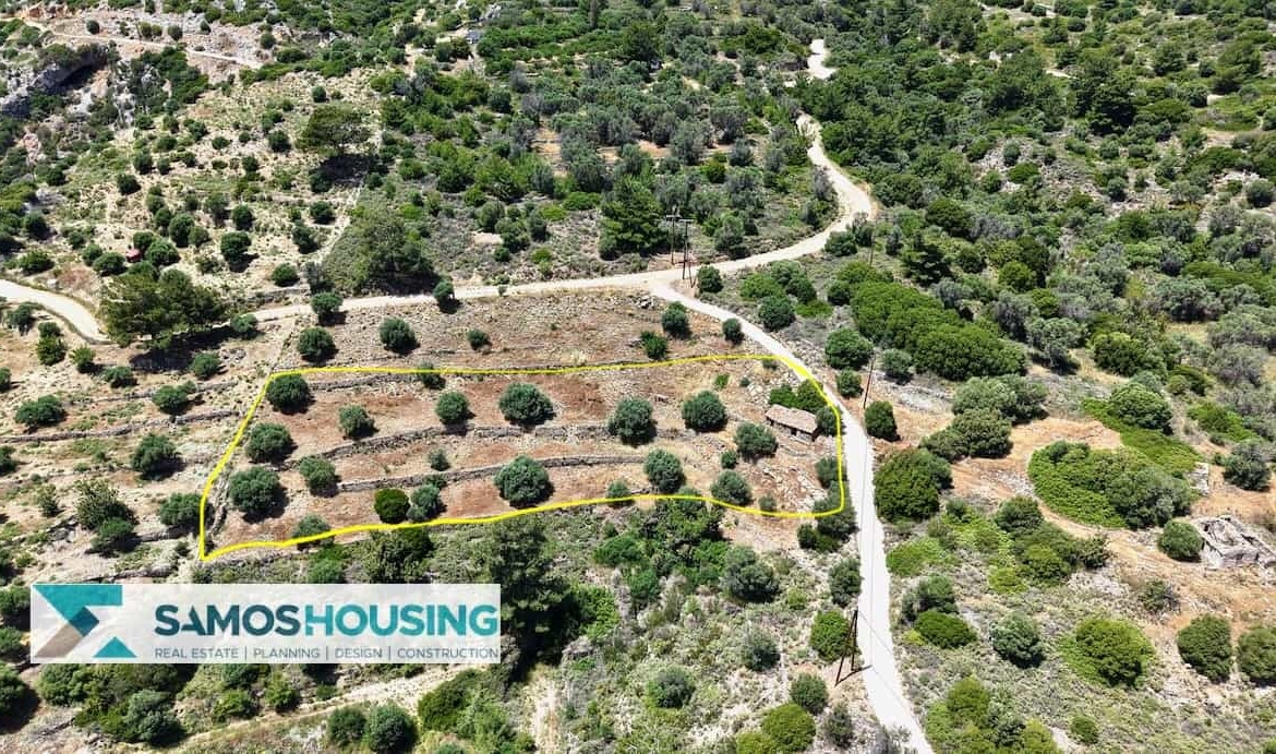 SH546 Vista Blue Metziki