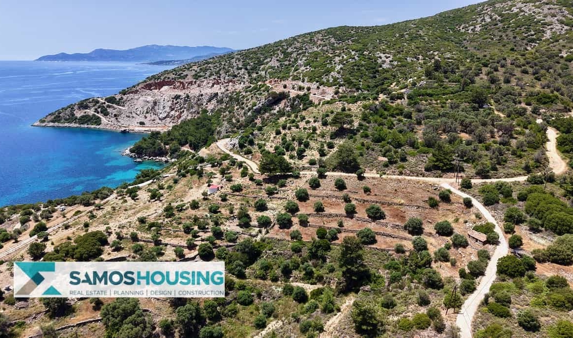 SH546 Vista Blue Metziki