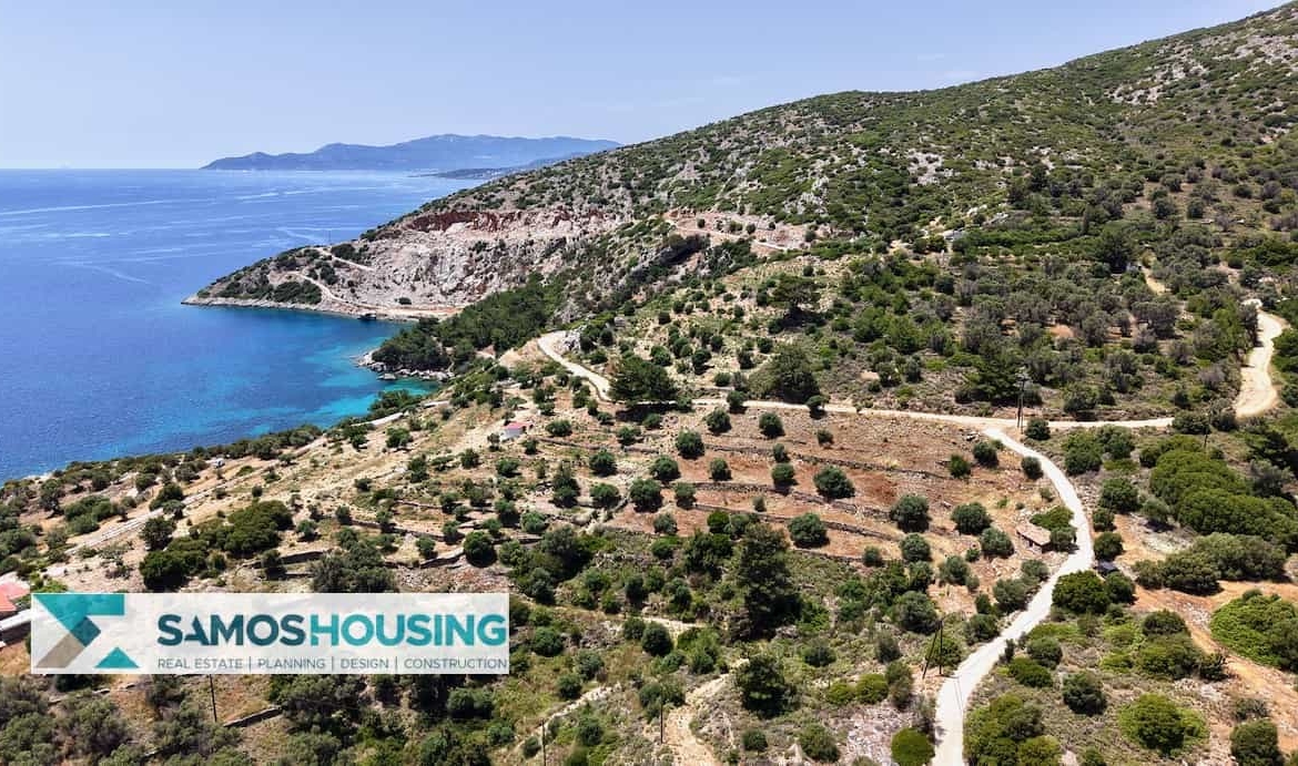 SH546 Vista Blue Metziki