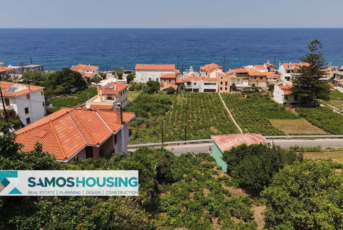 SH549 Agios Konstantinos Vineyard Vista