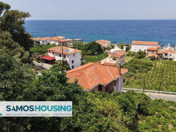 SH549 Agios Konstantinos Vineyard Vista