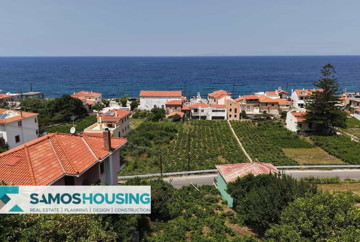 SH549 Agios Konstantinos Vineyard Vista