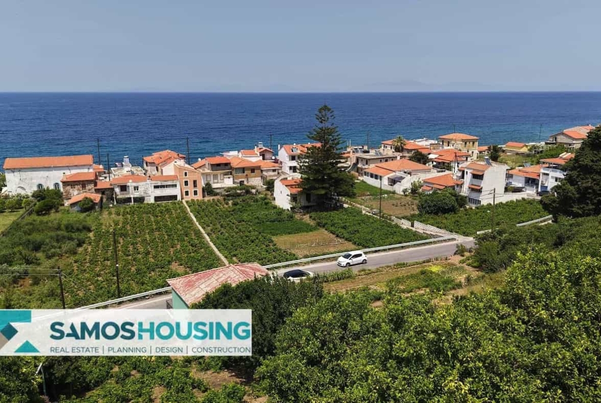 SH549 Agios Konstantinos Vineyard Vista