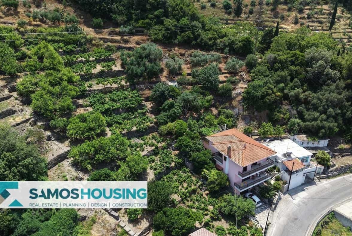 SH549 Agios Konstantinos Vineyard Vista