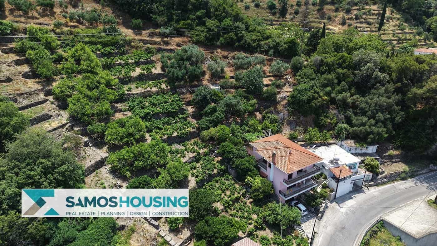 SH549 Agios Konstantinos Vineyard Vista