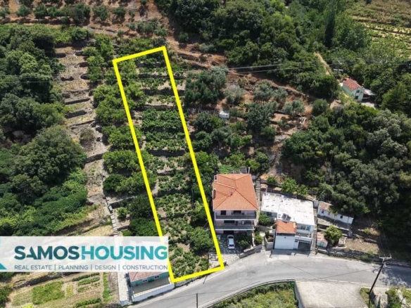 SH549 Agios Konstantinos Vineyard Vista