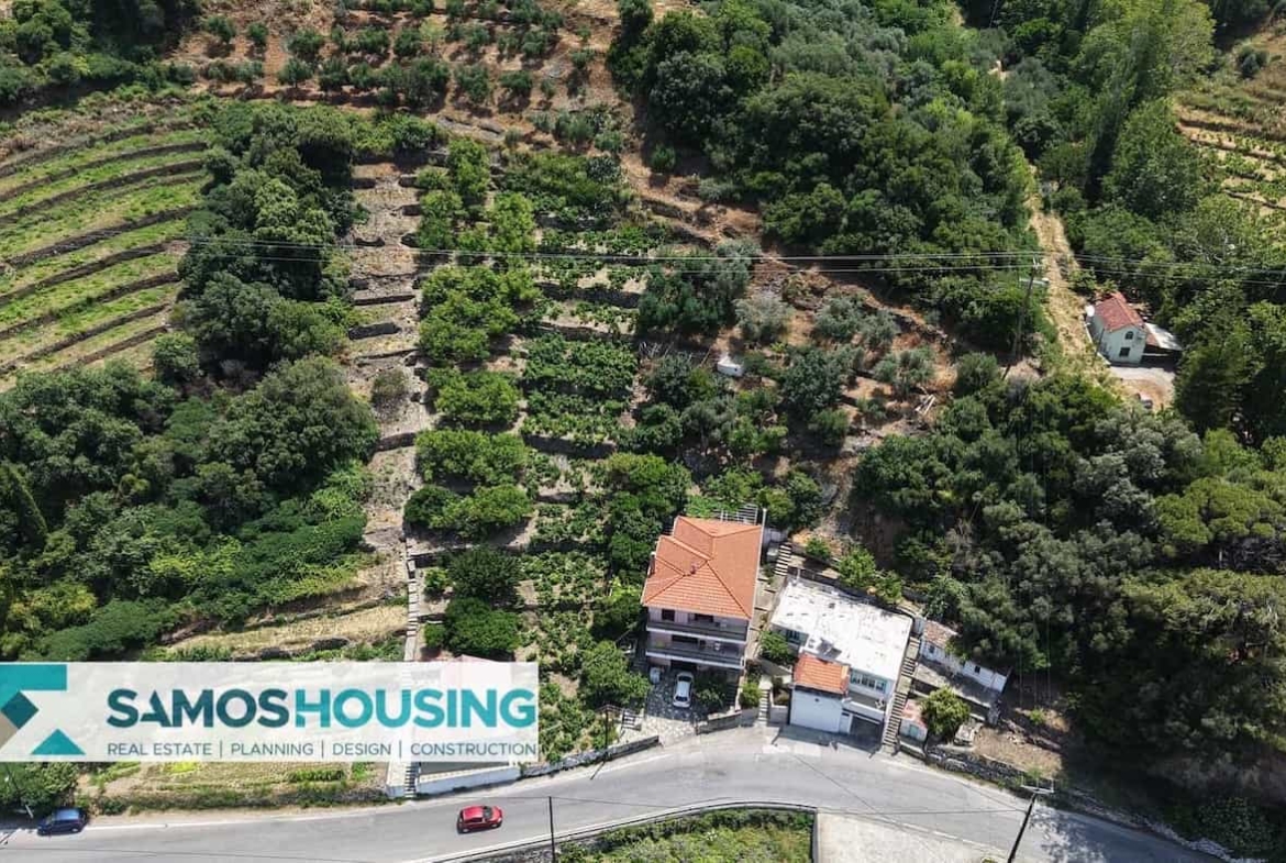 SH549 Agios Konstantinos Vineyard Vista