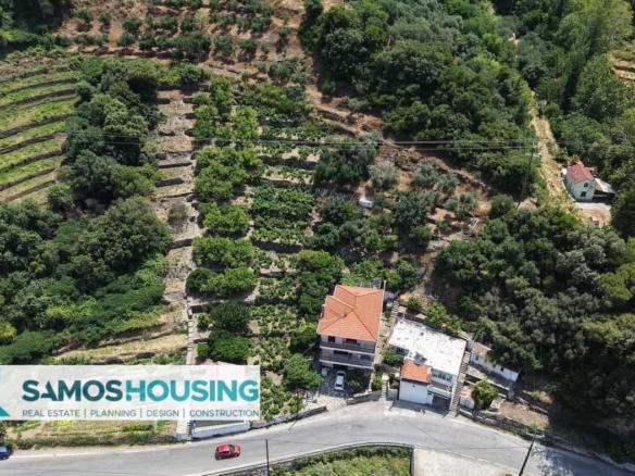 SH549 Agios Konstantinos Vineyard Vista