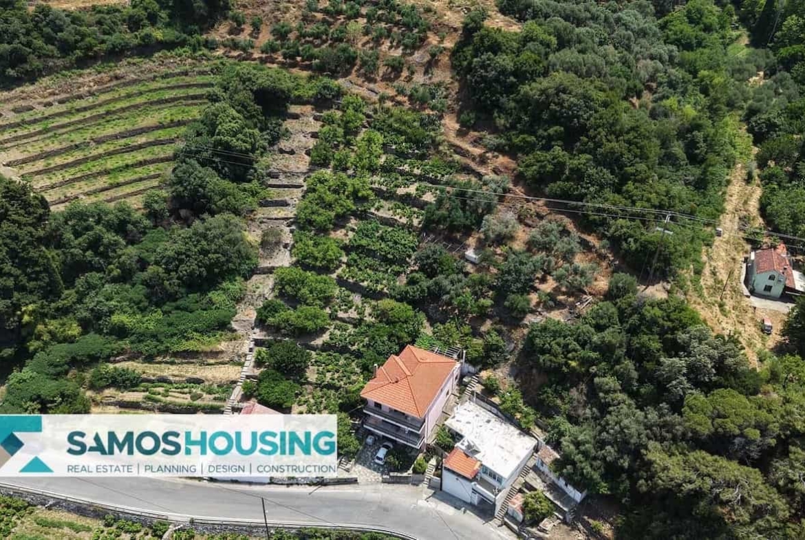SH549 Agios Konstantinos Vineyard Vista