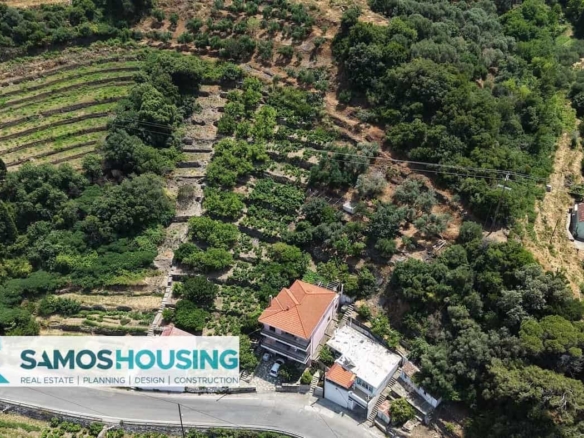 SH549 Agios Konstantinos Vineyard Vista