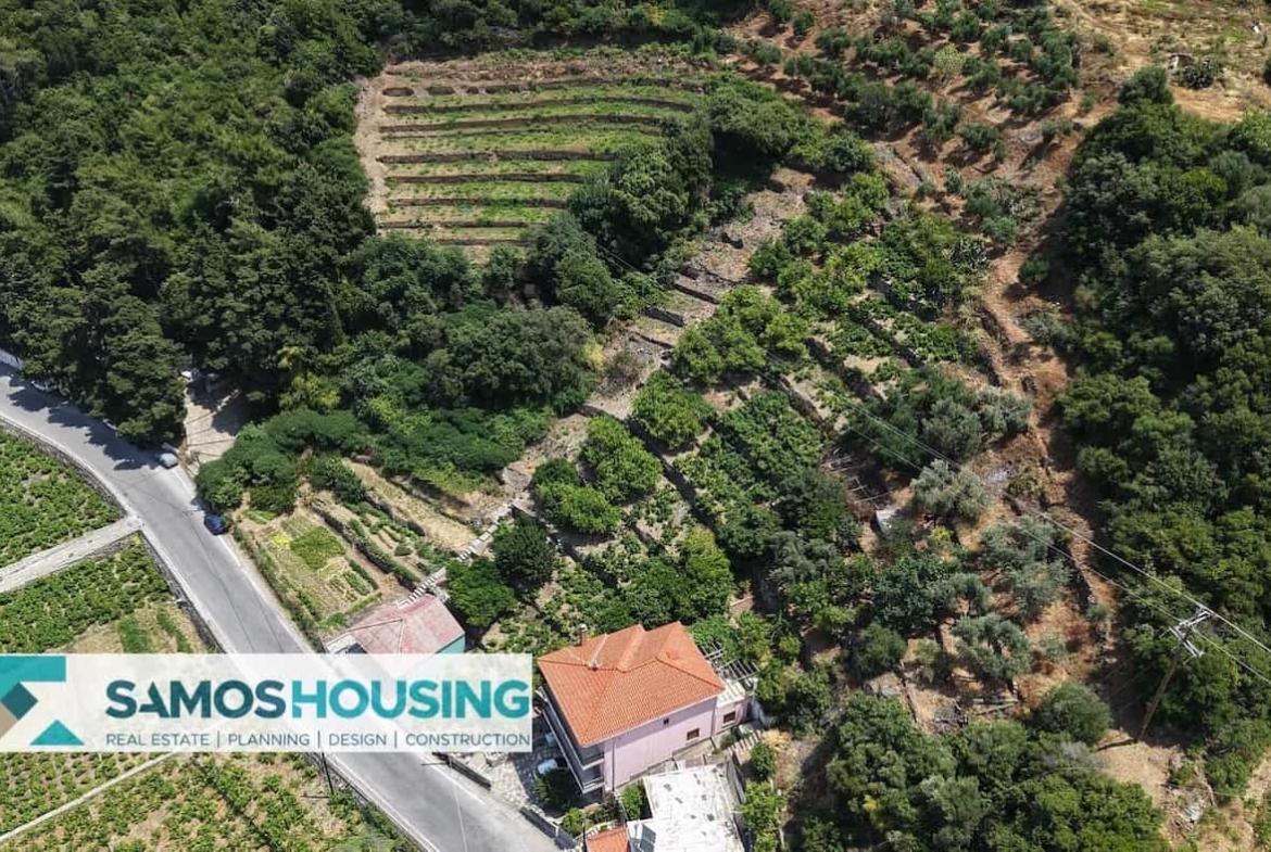 SH549 Agios Konstantinos Vineyard Vista