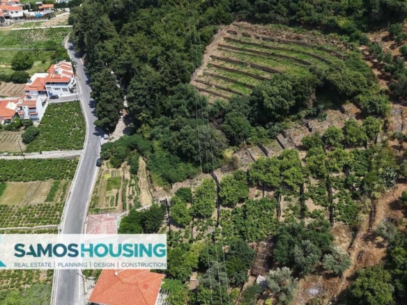 SH549 Agios Konstantinos Vineyard Vista