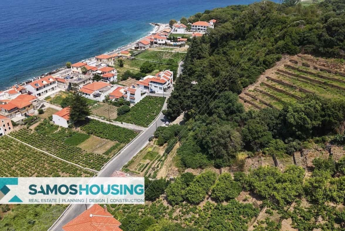 SH549 Agios Konstantinos Vineyard Vista