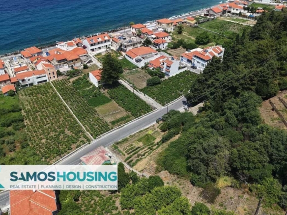 SH549 Agios Konstantinos Vineyard Vista