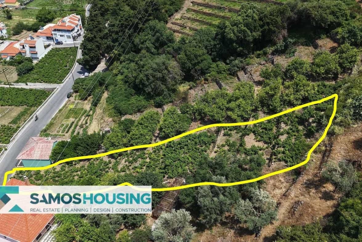 SH549 Agios Konstantinos Vineyard Vista