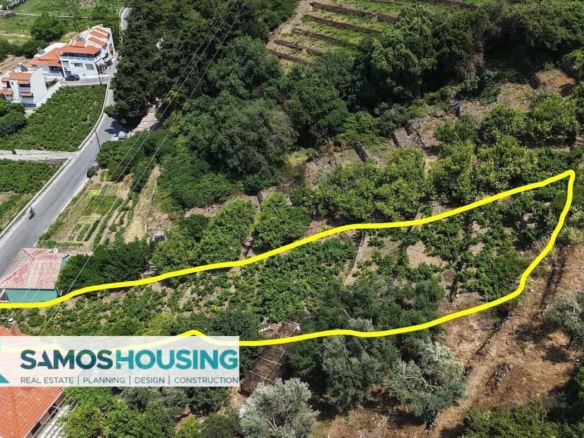 SH549 Agios Konstantinos Vineyard Vista