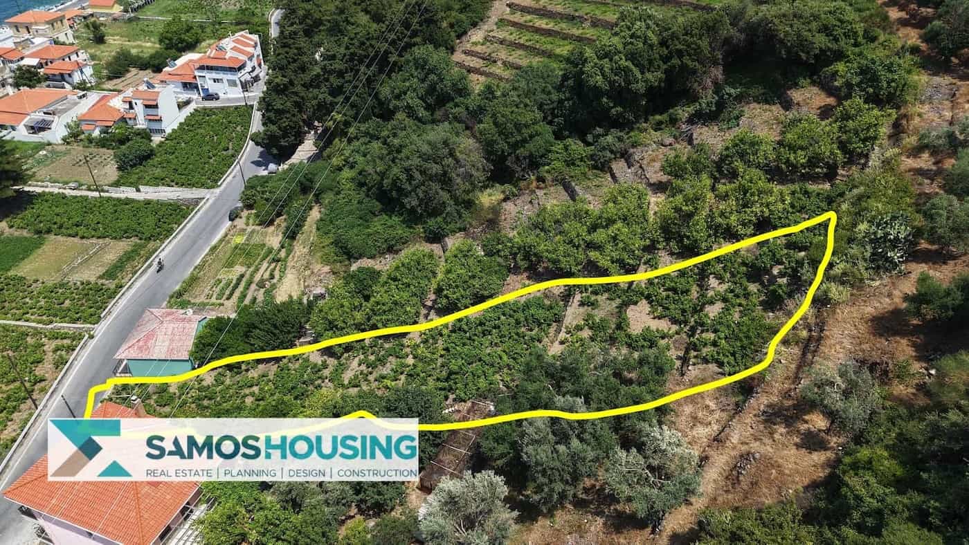 SH549 Agios Konstantinos Vineyard Vista