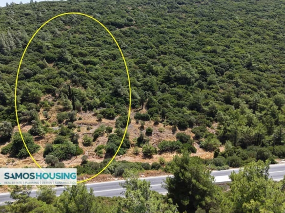 SH553 Varella Buildable Plot